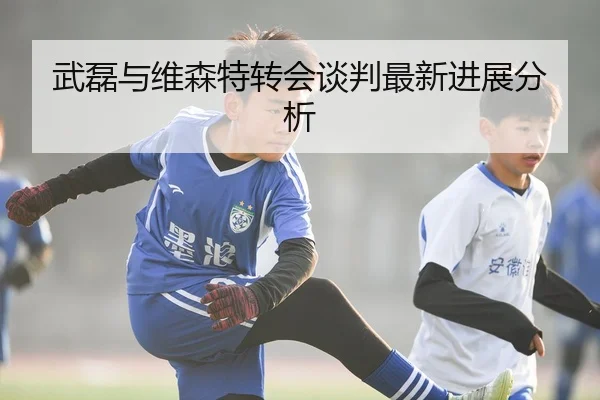 武磊与维森特转会谈判最新进展分析